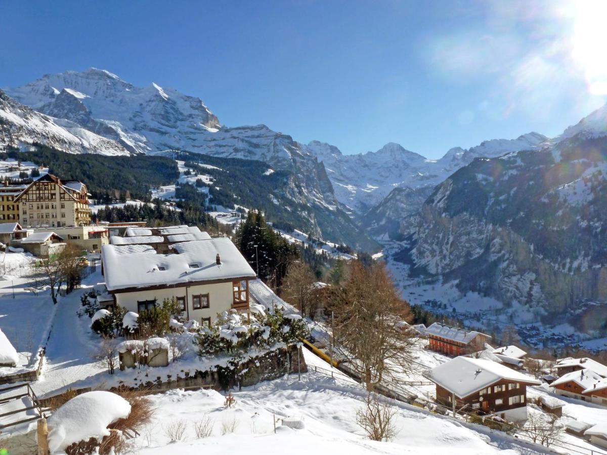 Apartment Panoramapark Soleil Haus D Apt 3 By Interhome Wengen Exterior photo