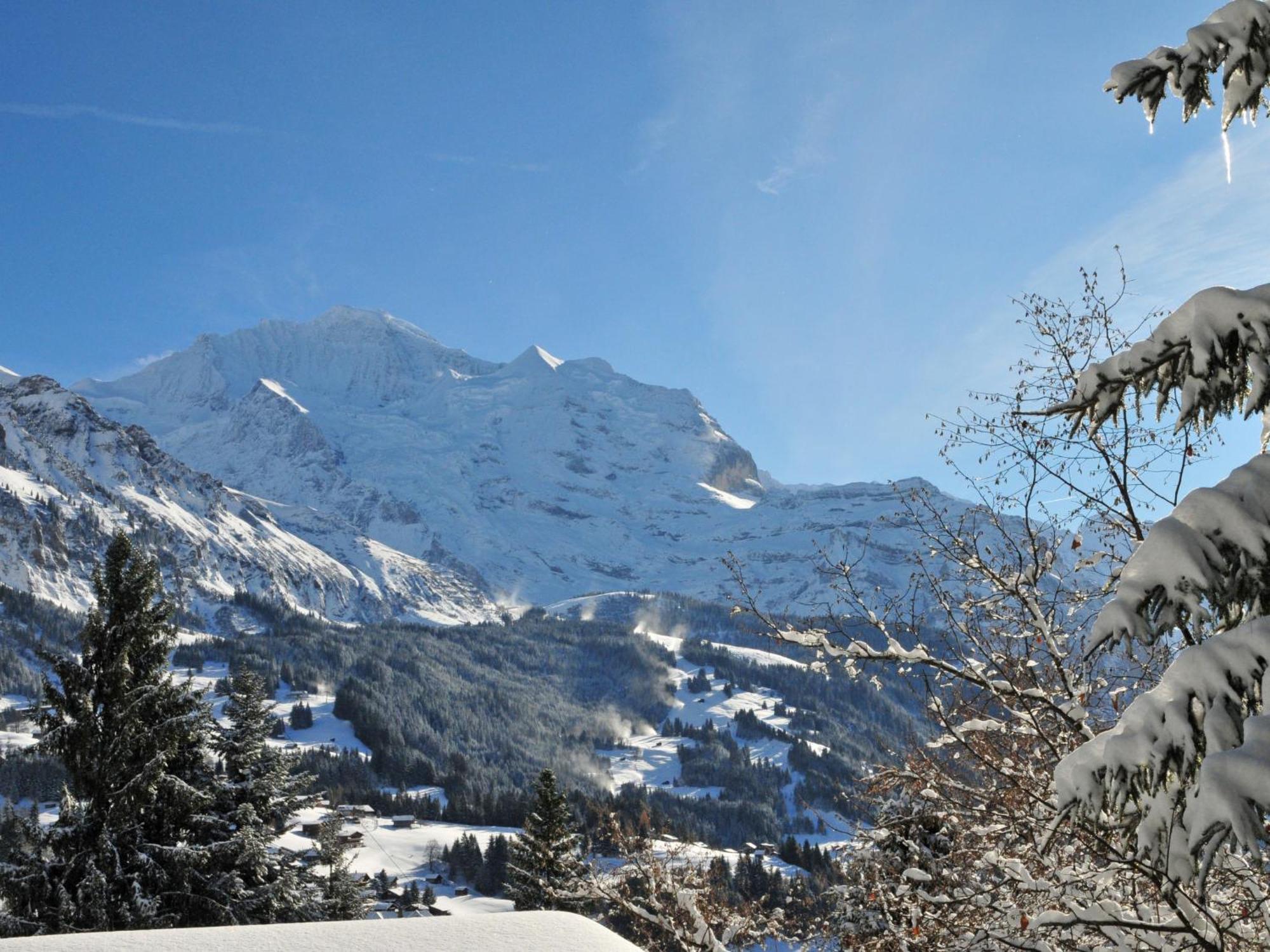 Apartment Panoramapark Soleil Haus D Apt 3 By Interhome Wengen Exterior photo